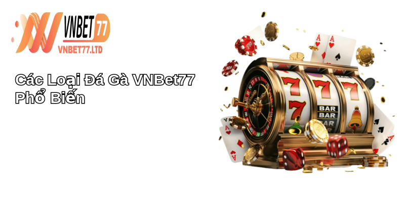 Đá Gà VNBET77 Phiêu Lưu Thú Vị 2 Các Loại Đá Gà VNBet77 Phổ Biến