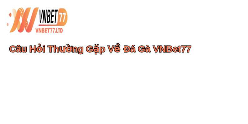 Đá Gà VNBET77 Phiêu Lưu Thú Vị 5 Câu Hỏi Thường Gặp Về Đá Gà VNBet77