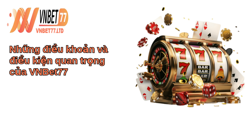 Điều khoản Và Điều kiện: Hiểu rõ & áp dụng hiệu quả 2 Những điều khoản và điều kiện quan trọng của VNBet77