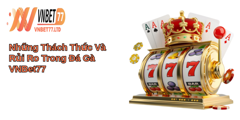 Đá Gà VNBET77 Phiêu Lưu Thú Vị 4 Những Thách Thức Và Rủi Ro Trong Đá Gà VNBet77